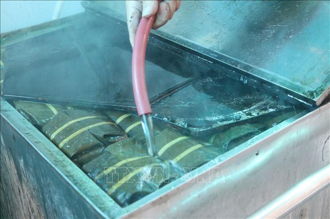 Nhiều gia đình đã đầu tư lò điện để luộc bánh chưng nhanh hơn. Ảnh: Bích Huệ - TTXVN