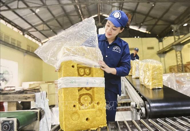 Đóng gói cao su chế biến tại Công ty Cổ phần cơ khí cao su BRC. Ảnh: Hồng Nhung - TTXVN