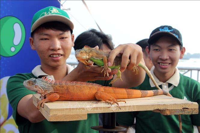 Ngày hội có khu vực dành riêng cho các loại thú cưng là bò sát. Ảnh: Trung Kiên - TTXVN