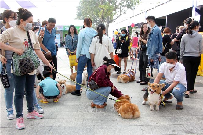 Những người yêu động vật cùng giao lưu thú cưng tại Ngày hội. Ảnh: Trung Kiên - TTXVN