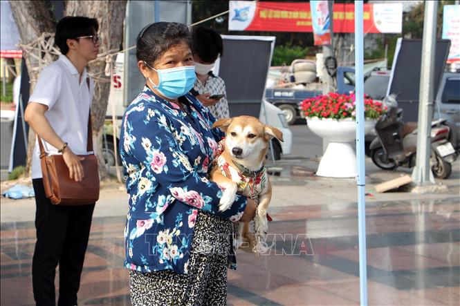 Ngày hội là dịp để chủ nhân và thú cưng thêm gắn kết. Ảnh: Trung Kiên - TTXVN