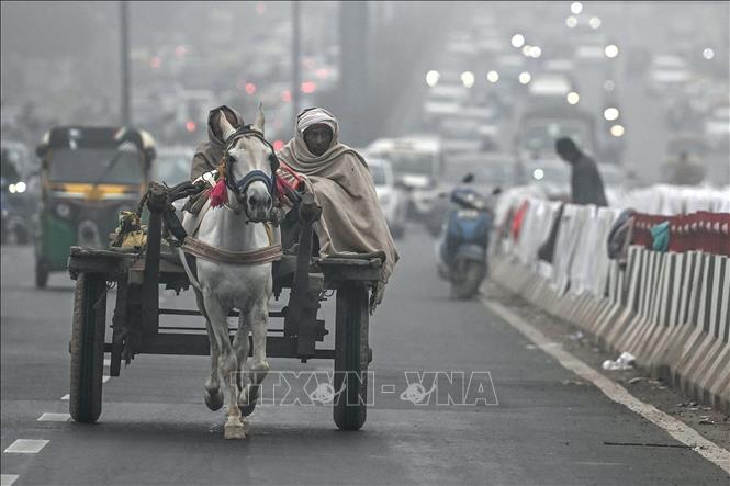 Người dân quấn khăn dày tránh rét khi di chuyển trên đường phố tại New Delhi, Ấn Độ, ngày 5/1/2024. Ảnh: AFP/TTXVN