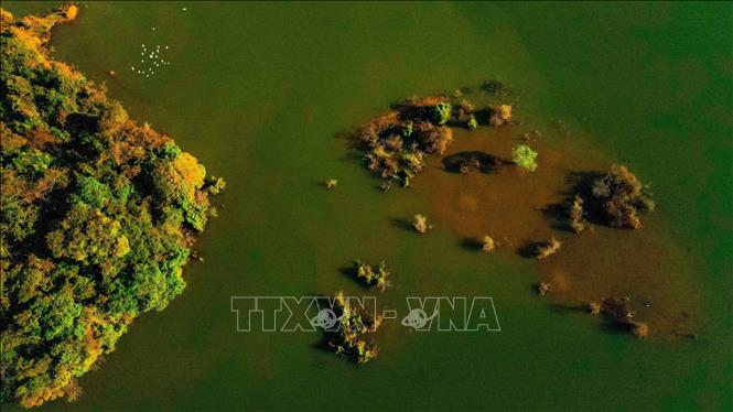 Pa Khoang reservoir has diverse vegetation. VNA Photo: Xuân Tư