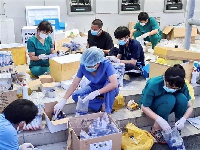 Sinh viên tình nguyện các khoa Y, Dược của Đại học Quốc gia Thành phố Hồ Chí Minh hỗ trợ phân loại mẫu tại khu lấy mẫu xét nghiệm ở Khu Chế xuất Linh Trung 1 (Thành phố Thủ Đức), tháng 6/2021. Ảnh: Hồng Giang – TTXVN