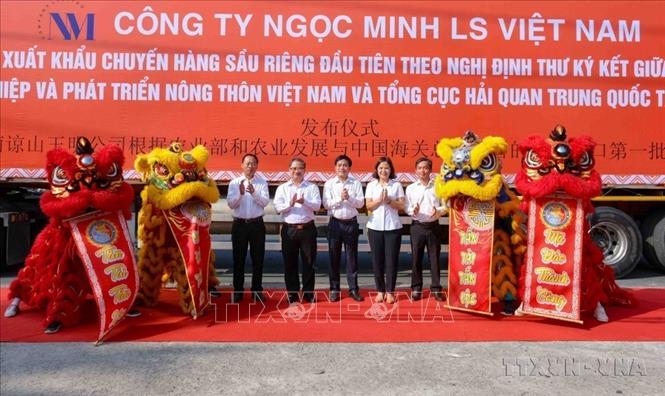 Sở Nông nghiệp và Phát triển nông thôn TP Cần Thơ tổ chức lễ xuất khẩu chuyến hàng sầu riêng đầu tiên theo Nghị định thư ký kết giữa Bộ NN&PTNT Việt Nam với Tổng cục Hải quan Trung Quốc (2023). Ảnh: TTXVN
