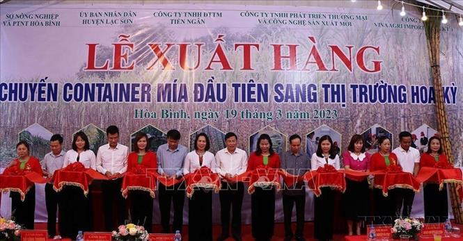 Lễ xuất khẩu lô hàng mía tươi đầu tiên sang thị trường Hoa Kỳ, với số lượng 20 tấn. Nguyên liệu mía xuất khẩu được thu mua tại xã Tân Mỹ, huyện Lạc Sơn, tỉnh Hòa Bình. Ảnh: Thanh Hải - TTXVN