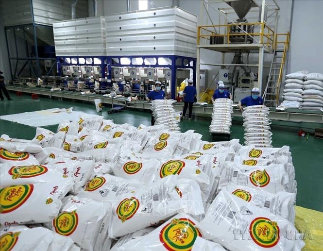 Gạo là sản phẩm xuất khẩu chính của Việt Nam sang thị trường Indonesia. Ảnh: Vũ Sinh - TTXVN