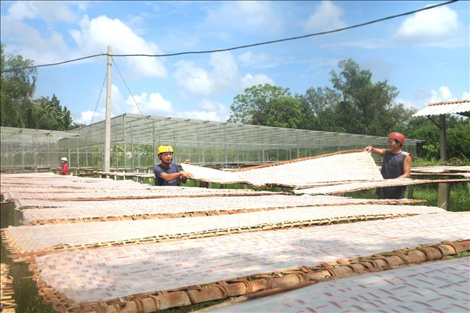 Người dân ấp Nô Công phơi bánh hủ tiếu. Ảnh: Thanh Hoà- TTXVN