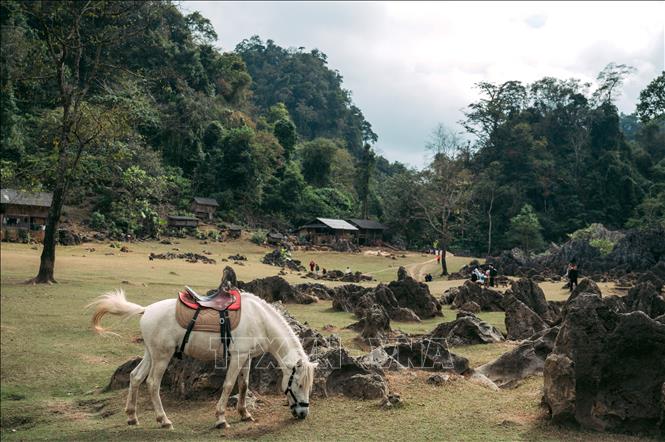 A peaceful space at Hang Tau village. VNA Photo: Phạm Tuấn Anh 