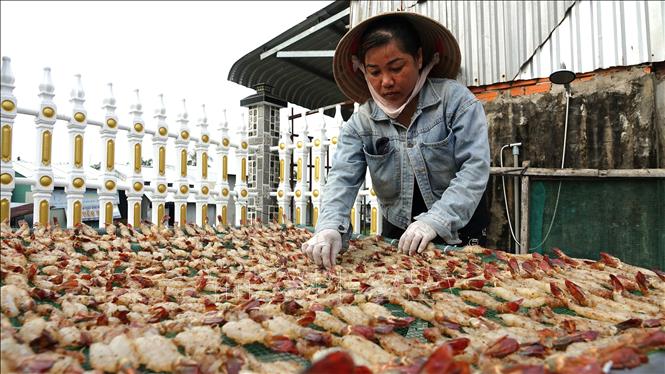 Phơi tôm một nắng ở xã Hòa Chánh, huyện U Minh Thượng, tỉnh Kiên Giang. Ảnh: Văn Sĩ - TTXVN