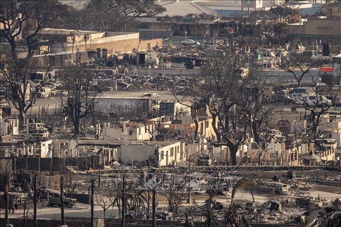 Cảnh tàn phá do cháy rừng ở Lahaina, bang Hawaii, Mỹ ngày 14/8/2023. Ảnh: AFP/TTXVN