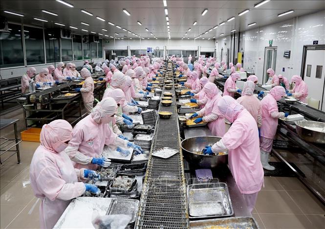 Processing seafood at Vinh Loc industrial park in Binh Chanh district, Ho Chi Minh City. VNA Photo: Hồng Đạt
