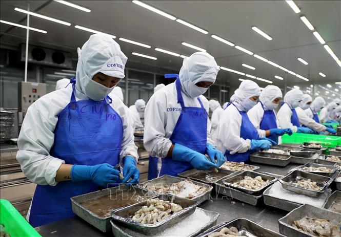 Processing seafood at Vinh Loc industrial park in Binh Chanh district, Ho Chi Minh City. VNA Photo: Hồng Đạt
