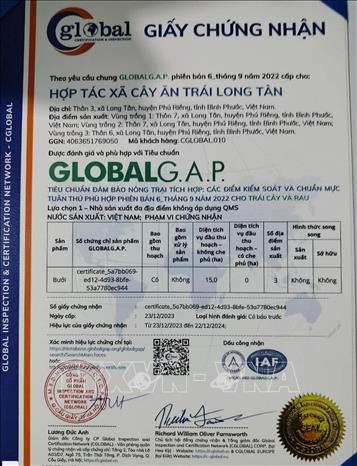 Giấy chứng nhận phù hợp tiêu chuẩn GlobalG.A.P cấp cho Hợp tác xã cây ăn trái Long Tân. Ảnh: TTXVN phát