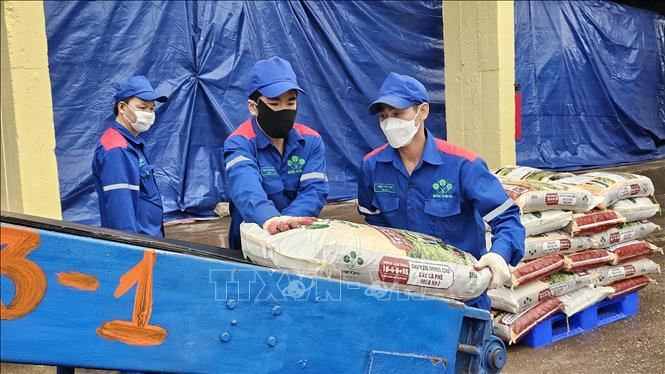 Công nhân vận chuyển, bốc xếp sản phẩm phân bón mới lên xe của khách hàng. Ảnh: Tạ Toàn - TTXVN