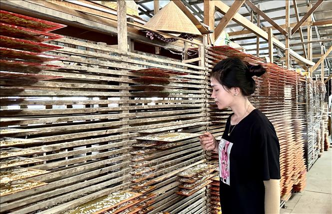 Kiểm tra các bản tranh kính sau khi được vẽ trang trí. Ảnh: Thanh Sang - TTXVN