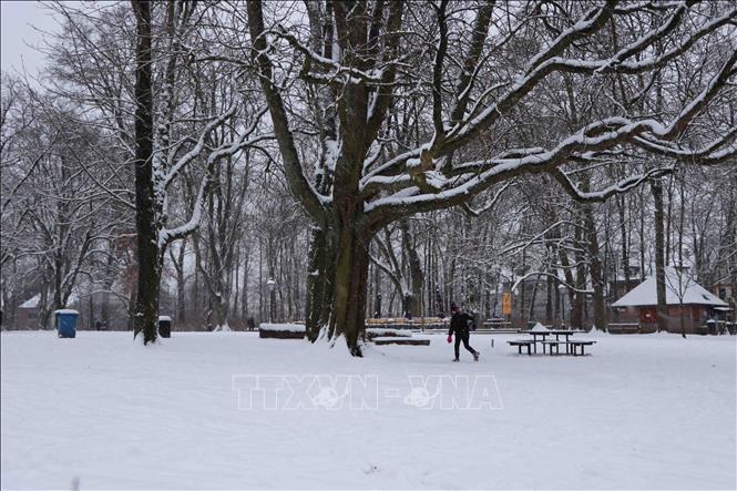 Trong một công viên ở thủ đô Brussels, chiều 17/1. Ảnh: Hương Giang - PV TTXVN tại Bỉ