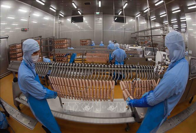 Sản phẩm xúc xích được sản xuất theo quy trình khép kín, đảm bảo an toàn vệ sinh thực phẩm của Công ty Cổ phần Chăn nuôi C.P Việt Nam tại Khu Công nghiệp Phú Nghĩa (Hà Nội). Ảnh: Vũ Sinh - TTXVN
