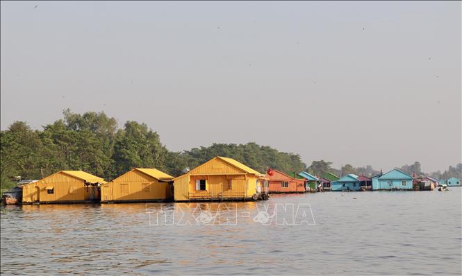Nhiều bè cá trên sông Châu Đốc được sơn nhiều màu đẹp mắt. Ảnh: Thanh Sang -TTXVN.