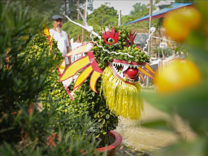 Cây quất ngoài uốn, nắn, tạo thế, dáng rồng còn được nghệ nhân gắn thêm râu, sừng và vẩy để 