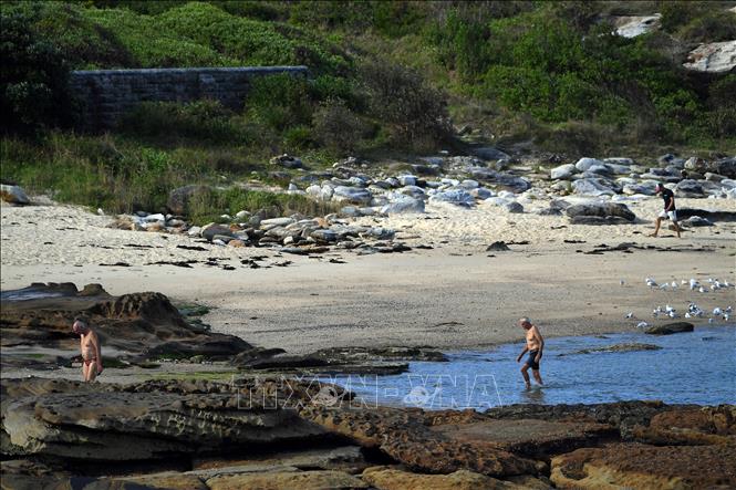 (Tư liệu) Bãi biển Little Bay tại Sydney, Australia. Ảnh: AFP/TTXVN