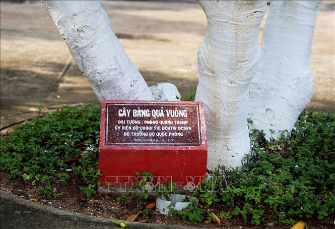 Bia lưu niệm ghi dấu cây bàng vuông được Đại tướng Phùng Quang Thanh, cố Bộ trưởng Bộ Quốc phòng trồng ở trung tâm đảo Trường Sa, quần đảo Trường Sa. Ảnh: Hồng Đạt - TTXVN

