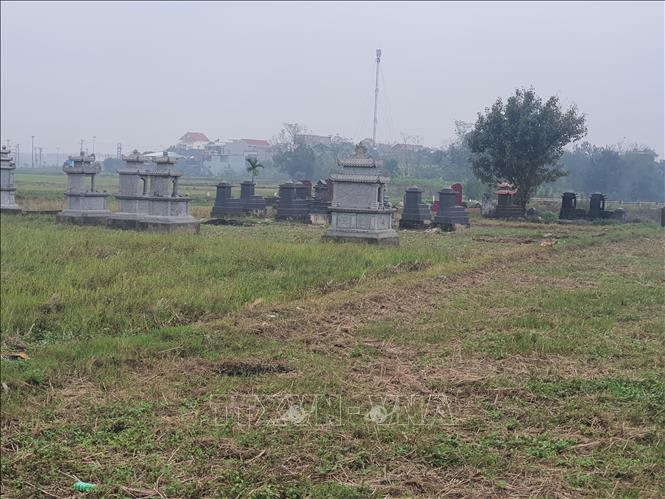 Mồ mả được xây trên đất trồng lúa và rau màu ở cánh đồng thuộc thị trấn Thanh Lãng, huyện Bình Xuyên, tỉnh Vĩnh Phúc. Ảnh: Nguyễn Trọng Lịch - TTXVN 