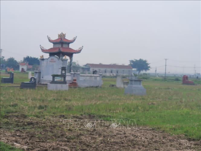 Mồ mả được xây trên đất trồng lúa và rau màu ở cánh đồng thuộc thị trấn Thanh Lãng, huyện Bình Xuyên, tỉnh Vĩnh Phúc. Ảnh: Nguyễn Trọng Lịch - TTXVN 