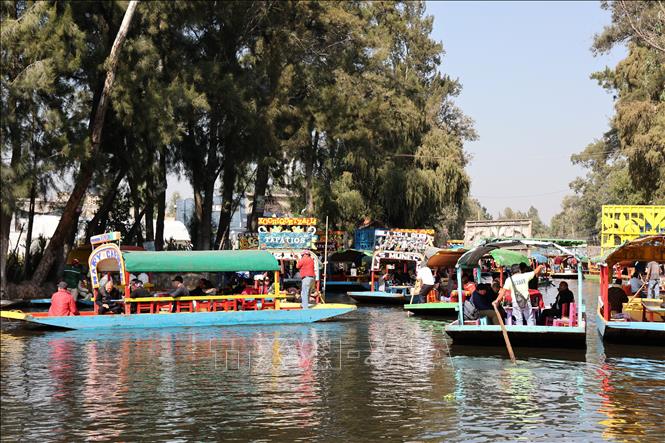 Quang cảnh kênh rạch tại Xochimilco. Ảnh: Phi Hùng-PvTTXVN tại Mexico