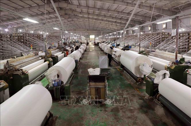 Dệt sản phẩm vải bạt cao cấp xuất khẩu của Công ty Cổ phần toàn cầu xanh ở cụm công nghiệp huyện Lâm Thao. Ảnh: Vũ Sinh - TTXVN