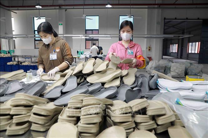 Sản phẩm đế giầy của Công ty TNHH kỹ thuật và vật tư giầy Kecheng Phú Thọ (100% vốn FDI) ở cụm công nghiệp Thanh Minh, thị xã Phú Thọ. Ảnh: Vũ Sinh - TTXVN