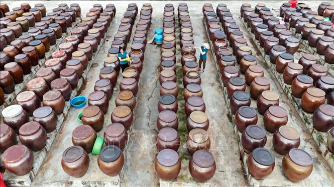 Khu vực sản xuất nước mắm của Hợp tác xã Thu mua, chế biến thủy hải sản Chiến Thắng (thị xã Kỳ Anh, tỉnh Hà Tĩnh). Ảnh: Hữu Quyết - TTXVN 