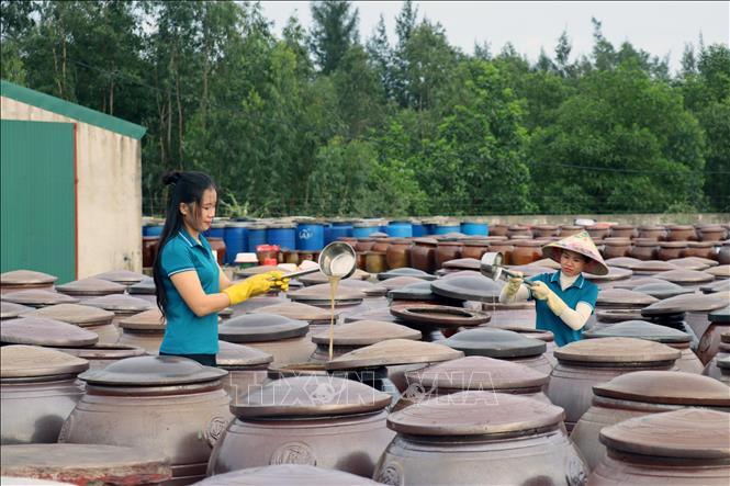 Sản phẩm nước mắm của Hợp tác xã Thu mua, chế biến thủy hải sản Chiến Thắng (thị xã Kỳ Anh, tỉnh Hà Tĩnh) đạt tiêu chuẩn OCOP 4 sao. Ảnh: Hữu Quyết - TTXVN 