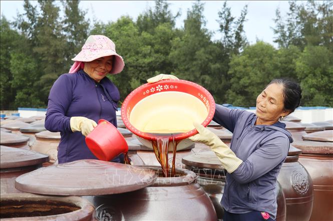 Người dân tại xã Kỳ Ninh (thị xã Kỳ Anh, tỉnh Hà Tĩnh) kiểm tra chất lượng nước mắm được ủ chượp theo phương pháp thủ công truyền thống. Ảnh: Hữu Quyết - TTXVN 