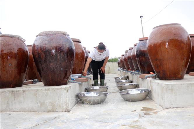 Người dân xã Cẩm Lộc (Cẩm Xuyên, Hà Tĩnh) kiểm tra chất lượng nước mắm. Ảnh: Hữu Quyết - TTXVN 