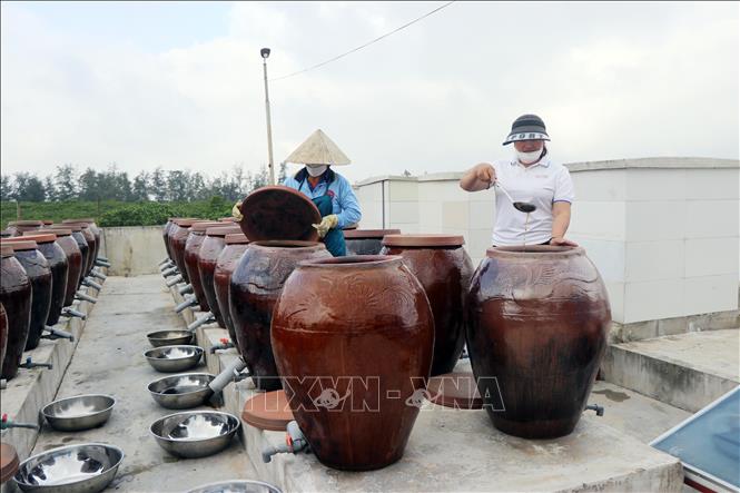 Cơ sở sản xuất nước mắm ở xã Cẩm Lộc (Cẩm Xuyên, Hà Tĩnh). Ảnh: Hữu Quyết - TTXVN 