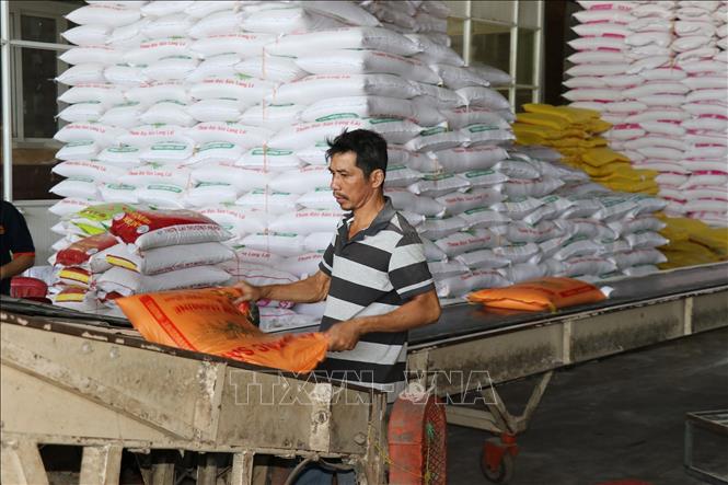 Đóng gói gạo tại cơ sở lau bóng gạo Giàu Thanh Hoàng ở chợ gạo Bà Đắc - An Cư (Cái Bè, Tiền Giang). Ảnh: Hữu Chí - TTXVN