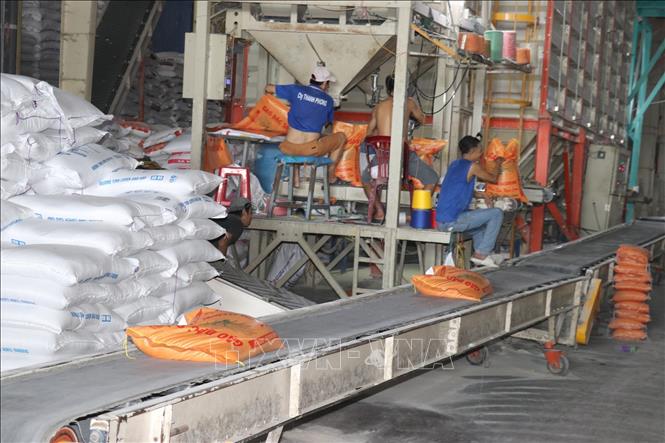 Đóng gói gạo để phục vụ nhu cầu trong dịp Tết. Ảnh: Hữu Chí - TTXVN