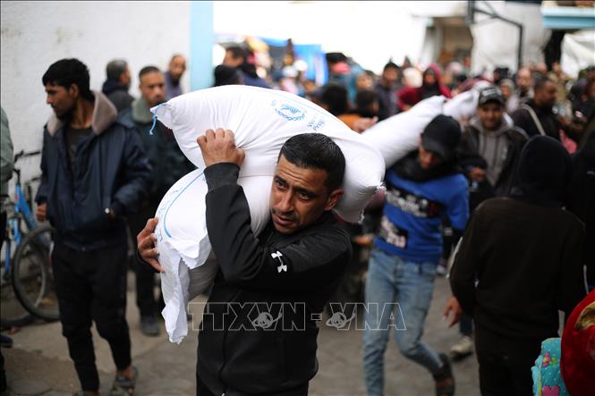 Người tị nạn Palestine nhận lương thực cứu trợ từ Cơ quan cứu trợ của LHQ dành cho người tị nạn Palestine (UNRWA) ở Dải Gaza, ngày 28/1/2024. Ảnh: THX/TTXVN