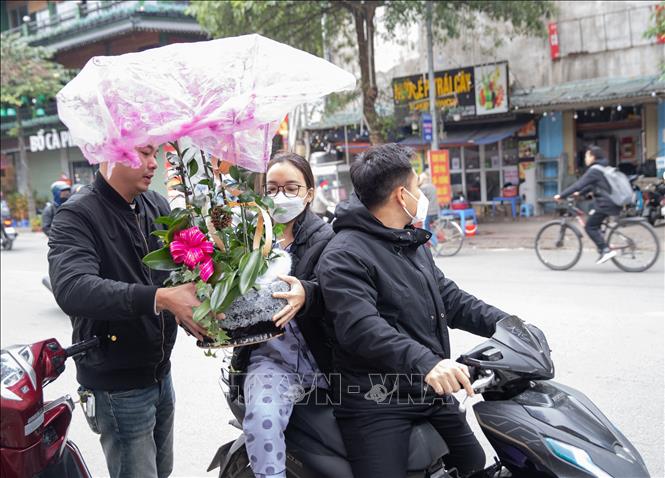 Một chậu lan hồ điệp được chọn mua tại chợ hoa quận Hai Bà Trưng. Ảnh: Hoàng Hiếu - TTXVN