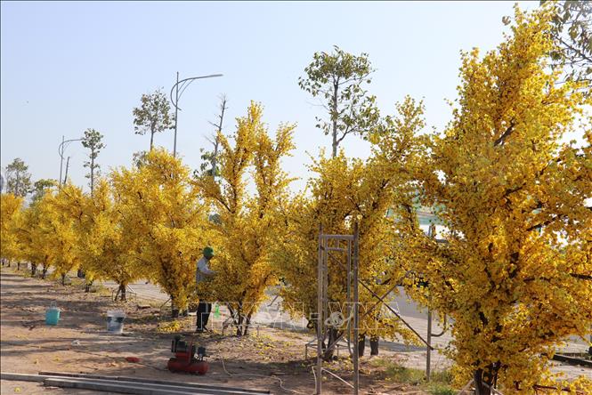 Tái hiện không gian Tết Việt xưa tại Khu đô thị Tây Bắc, thành phố Rạch Giá (Kiên Giang). Ảnh: Lê Huy Hải - TTXVN