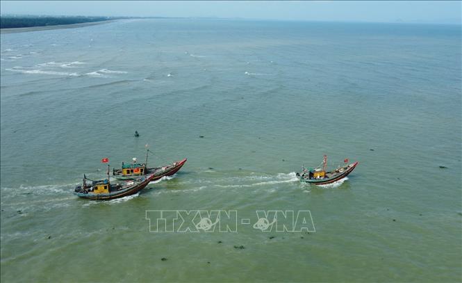 Tàu, thuyền của ngư dân ra khỏi cửa biển Lạch Vạn vươn khơi đánh bắt hải sản. Ảnh: TTXVN phát