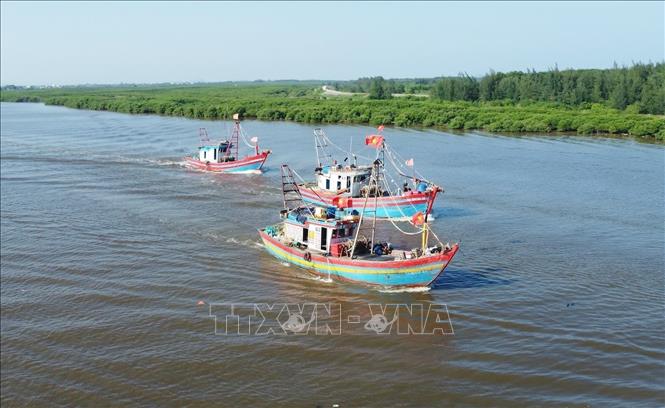 Đội tàu đánh bắt hải sản công suất lớn của ngư dân ven biển huyện Diễn Châu lưu thông trên cửa biển Lạch Vạn. Ảnh: TTXVN phát