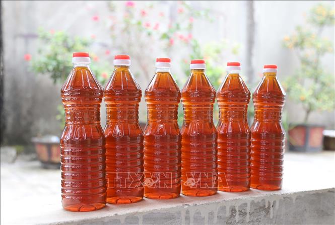 Nước mắm chế biến thủ công truyền thống ở xã Diễn Bích có độ đạm cao, màu cánh gián nhạt, mùi thơm và vị đặc trưng. Ảnh: Xuân Tiến - TTXVN 