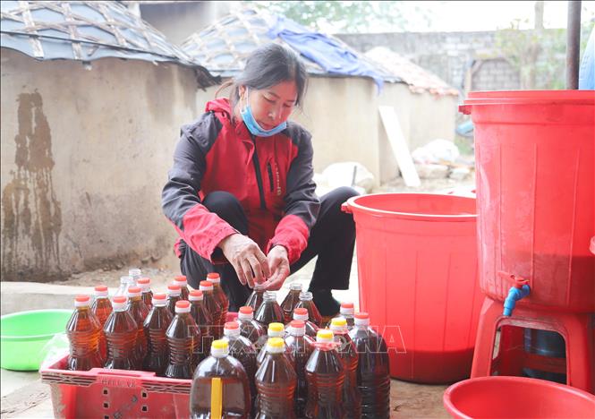 Đóng chai nước mắm ở xã Diễn Bích (Nghệ An). Ảnh: Xuân Tiến - TTXVN 