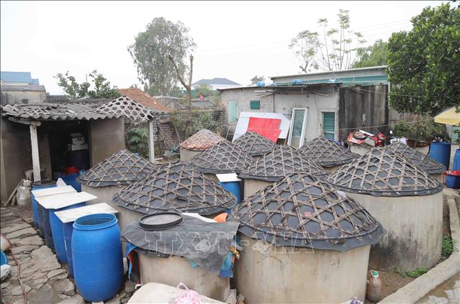 Nước mắm ở xã Diễn Bích được chế biến từ cá trỏng với muối biển, đựng trong những am chứa từ 2 đến 6 tạ hỗn hợp cá, muối và được ủ chượp bằng sức nóng tự nhiên của nắng nóng trong thời gian từ 14 tháng trở lên. Ảnh: Xuân Tiến - TTXVN 