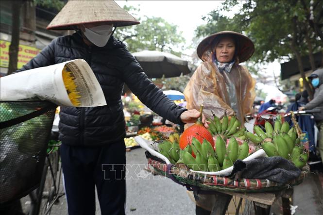 Nải chuối xanh cho mâm ngũ quả ngày Tết hay gấc để nấu xôi cúng cũng được tiêu thụ mạnh những ngày này. Ảnh: Minh Quyết - TTXVN