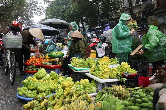Ê hề các loại quả bày Tết được bày bán ở các chợ dân sinh trên địa bàn Hà Nội. Ảnh: Minh Quyết - TTXVN