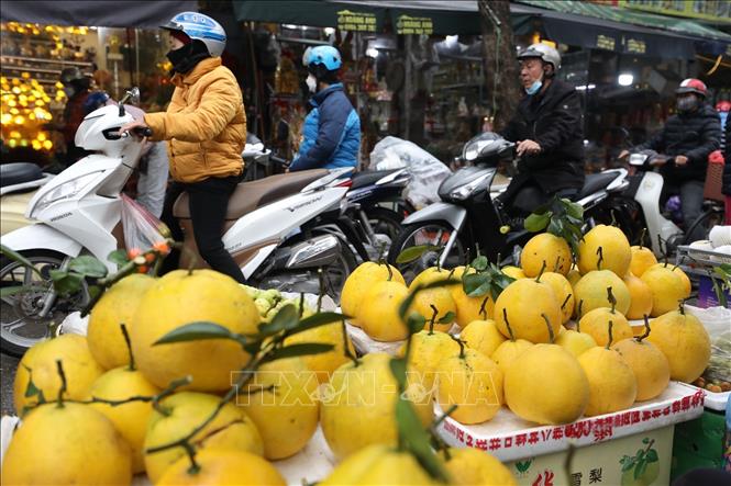 Sắc màu chợ dân sinh Hà Nội trong những ngày giáp Tết. Ảnh: Minh Quyết - TTXVN
