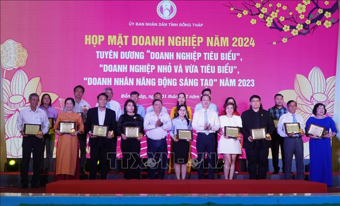 Lễ tuyên dương “Doanh nghiệp nhỏ và vừa tiêu biểu” của tỉnh Đồng Tháp. Ảnh: Nhựt An - TTXVN